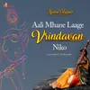 About Aali Mhane Laage Vrindavan Niko Song